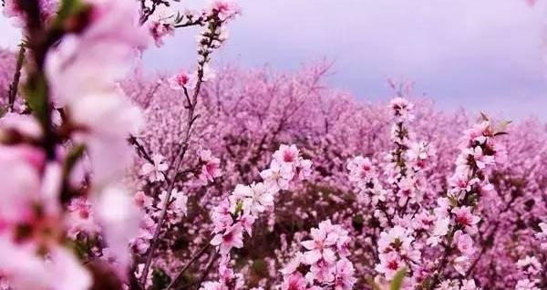 英菲尼迪,宝典