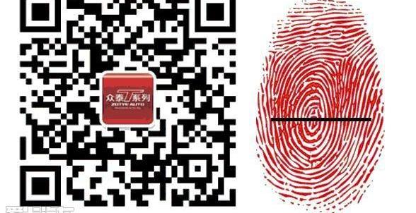 众泰,宝骏,宝典