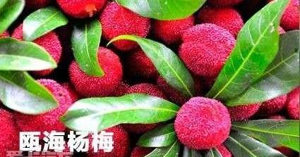 江铃,宝典,斯柯达,777,奥迪