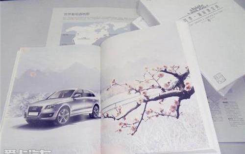 奥迪,标致,长城,宝典,斯柯达