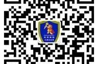 标致,东风,宝典
