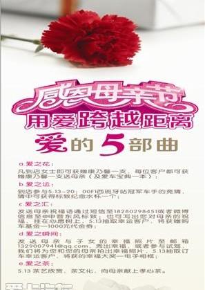 标致,东风,宝典