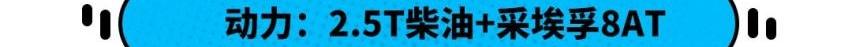 福田,长城,炮,福特,比亚迪