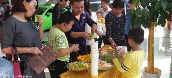马自达,江铃,长安