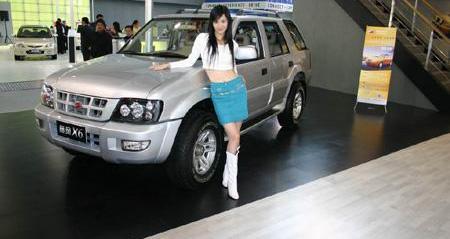 现代,奔驰,宝马,标致,长安