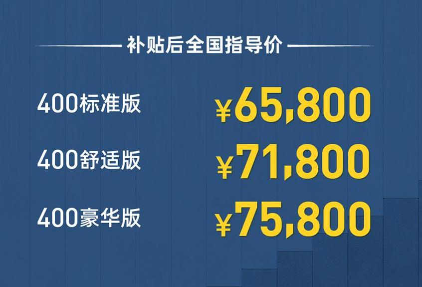 江淮,零跑T03,威马EX5,大众,东风风神