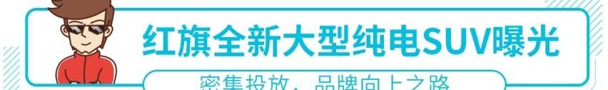 前途,红旗,几何C,比亚迪,发现