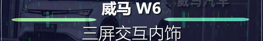 威马W6