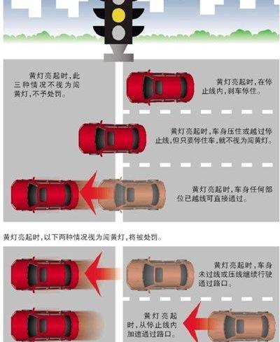 北京,斑马,发现