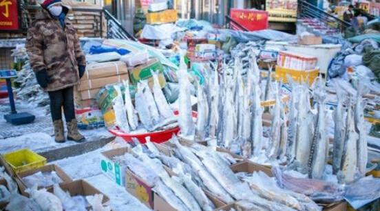 雪铁龙,大众,炮,东风,发现