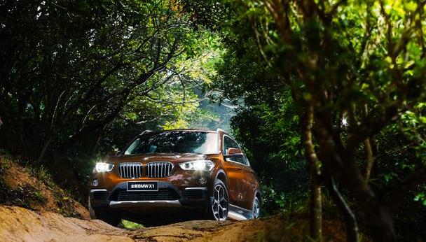 宝马,北京,大众,远程