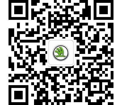 速派,大众,斯柯达