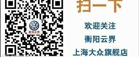 大众,朗逸,Polo,帕萨特,桑塔纳