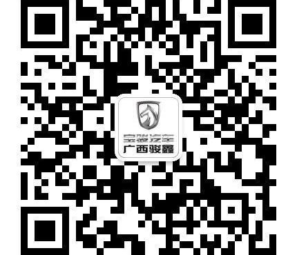 宝骏,长安,777,五菱宏光S