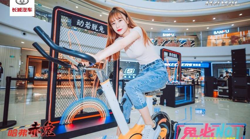 哈弗,哈弗赤兔,汉,长城,现代