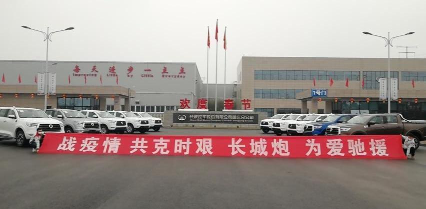 长城,哈弗,欧拉,炮