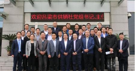 开瑞,奇瑞,优优