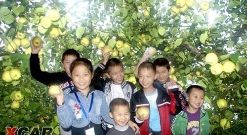 优优,一汽