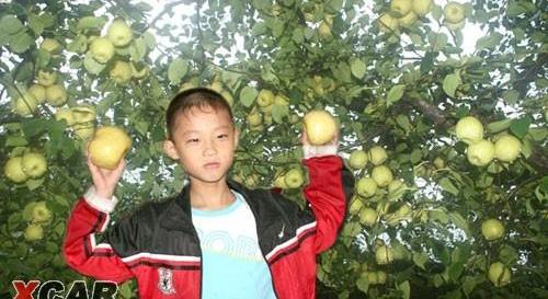 优优,一汽