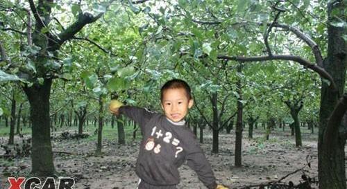 优优,一汽