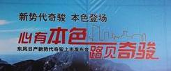 奇骏,日产,东风,天籁,优优