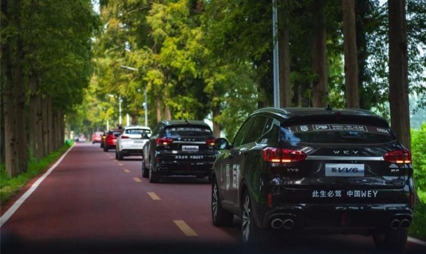 长城,发现,奔腾,丰田,Jeep
