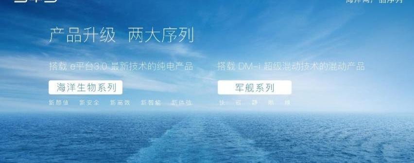 比亚迪,汉,北京,驱逐舰05,海豚