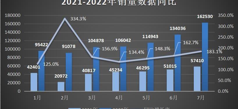 比亚迪,汉,驱逐舰05,元PLUS,海豚