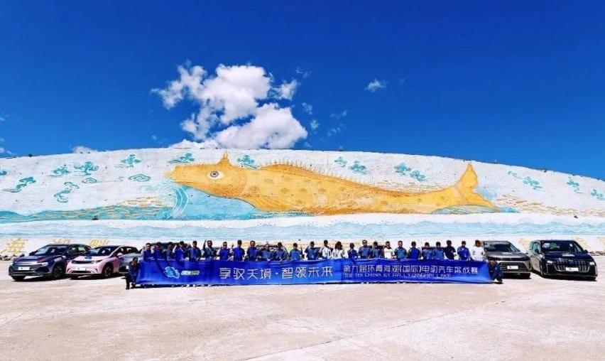 比亚迪,元PLUS,海豹,海豚,发现