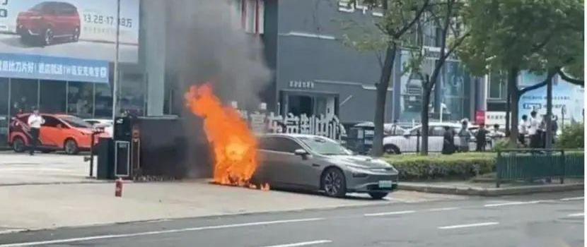 理想ONE,小鹏,凯迪拉克,领克,理想汽车