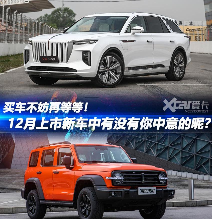 坦克,坦克300,红旗,红旗E-HS9,本田