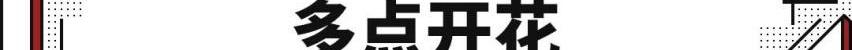 长城,奇瑞,领克,名爵,沃尔沃