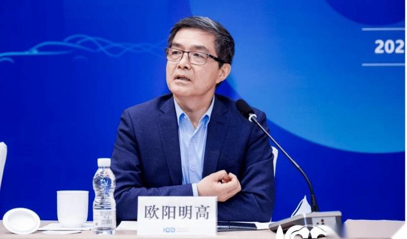 起亚,红旗,smart,领克,理念