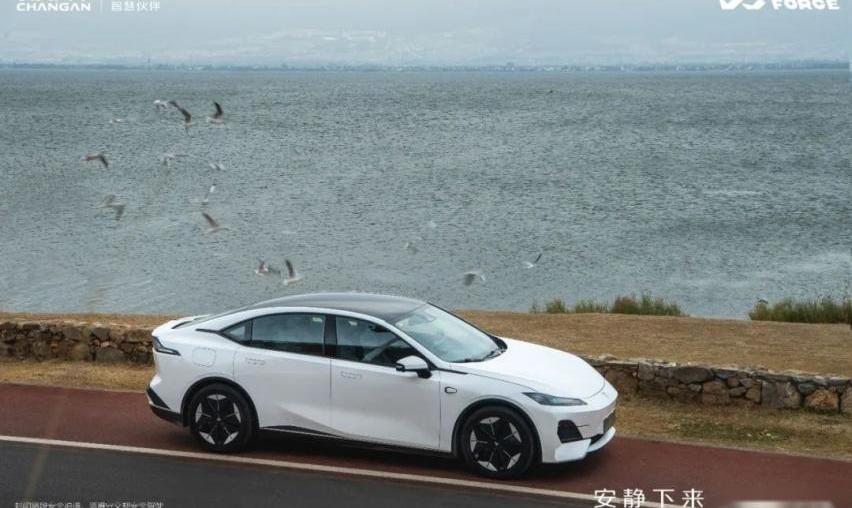 长安,长城,比亚迪,阿维塔,吉利汽车