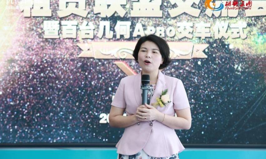 几何汽车,几何A,吉利汽车,领克