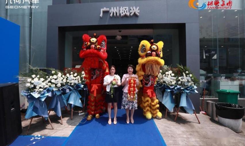 几何汽车,几何A,吉利汽车,领克