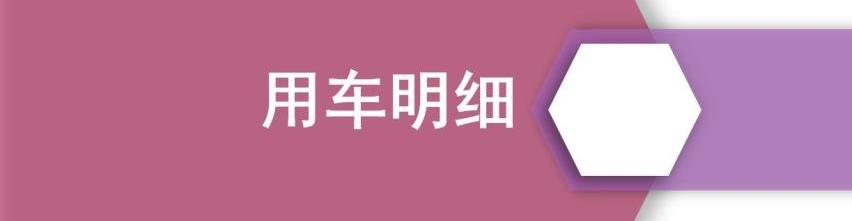 领克,领克06,远程