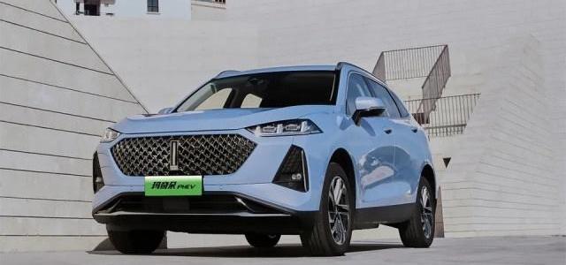 比亚迪,宝马,蔚来,奔驰,长城