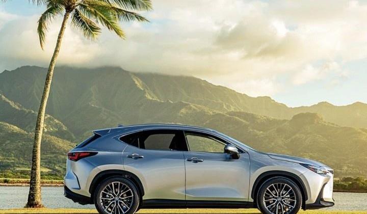 雷克萨斯,丰田,雷克萨斯LX,雷克萨斯NX,东南