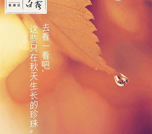 雷克萨斯,雷克萨斯NX