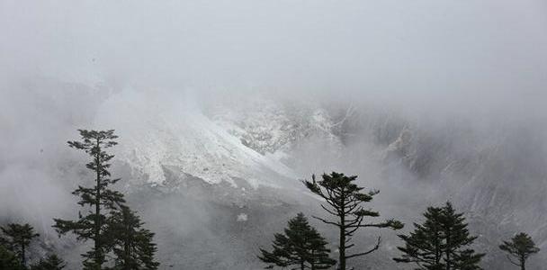 雷克萨斯,雷克萨斯NX,牧马人,雷克萨斯LX,理念