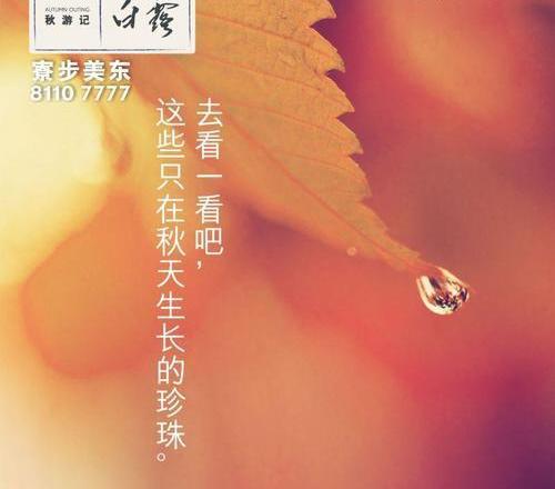 雷克萨斯,雷克萨斯NX,理念,777