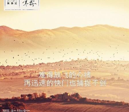 雷克萨斯,雷克萨斯NX,777