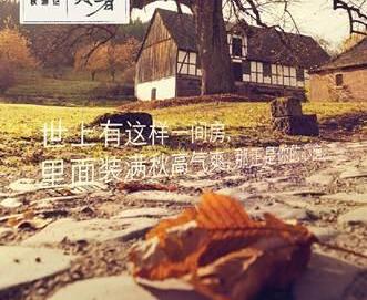 雷克萨斯,雷克萨斯NX