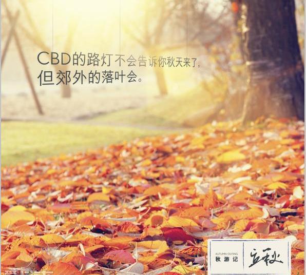 雷克萨斯,雷克萨斯NX