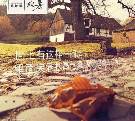 雷克萨斯,雷克萨斯NX,777