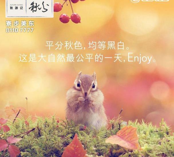 雷克萨斯,雷克萨斯NX,理念,仰望,777
