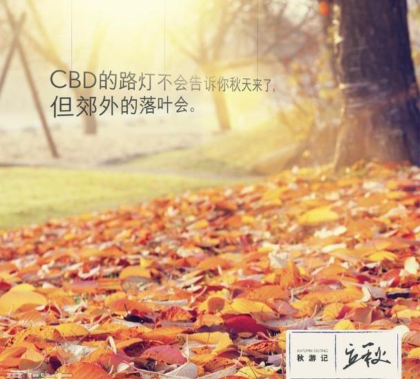 雷克萨斯,雷克萨斯NX,777