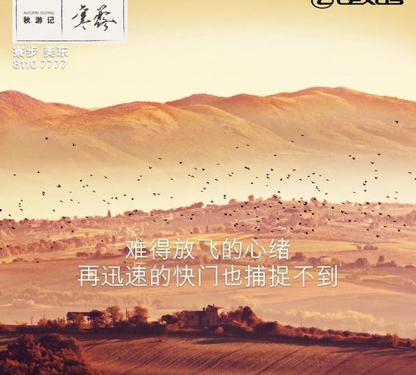 雷克萨斯,雷克萨斯NX,理念,777