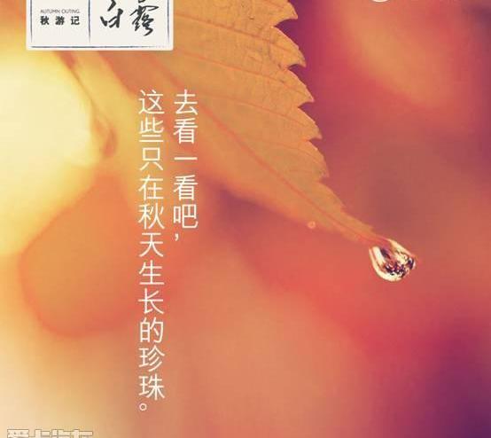 雷克萨斯,雷克萨斯NX,777